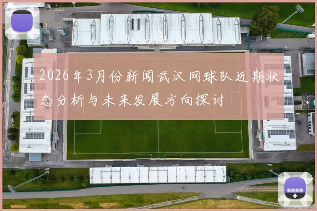 2026年3月份新闻武汉网球队近期状态分析与未来发展方向探讨